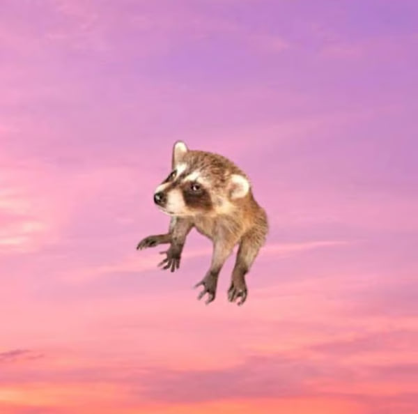 sunsetcoon's tweet photo. THE ROLLER COASTER RIDE HAS BEGUN
IT'S NOT SCARY - WE'RE STILL DOING WELL. GREAT!
solana:u5FmqbZ2wZRJSxi4SNvSKkCxSjTTxTXtnzm9sWBpump 
CA:
u5FmqbZ2wZRJSxi4SNvSKkCxSjTTxTXtnzm9sWBpump https://t.co/wgs8PYdxd1
