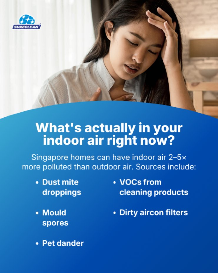 surecleanpro's tweet photo. 👀 What is actually floating around in the air inside your home?

It might be more than you think. 😷🏠

Read the post to discover what could be affecting the air you breathe every day and what you can do about it. 🍃✨ https://t.co/VeoNke3m1m