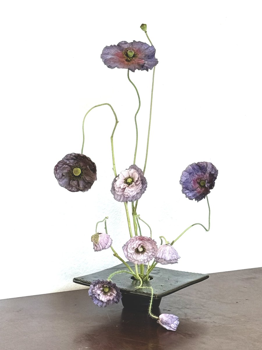 emofooo's tweet photo. hey, I got u some flowers! https://t.co/m6qshF3yLU