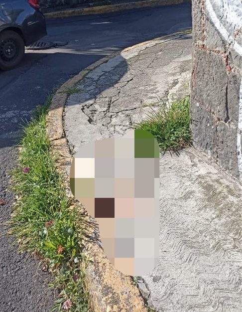 TlalpanVecinos's tweet photo. 🚨🐾 Macabro hallazgo en Santa Úrsula Xitla

Vecinos reportaron que la mañana de este día fue localizado un perrito desmembrado en el cruce de Limantitla y Galeana, en la colonia Santa Úrsula Xitla, alcaldía Tlalpan.

De acuerdo con los testimonios, la cabeza del animal fue encontrada metros más adelante. Habitantes de la zona señalan que no es la primera vez que ocurren hechos de este tipo y los relacionan con presuntas prácticas de brujería.
