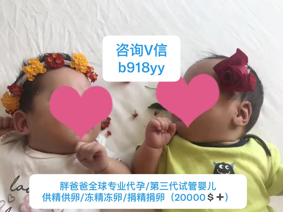 JakeDavis390398's tweet photo. #Georgia 格鲁吉亚代孕｜90后夫夫迎来混血双胞胎男宝，开启一家四口新生活👶👶

浙江90后夫夫伴侣去年启动格鲁吉亚第三方辅助生殖计划，选择同一位欧美优质捐卵人完成混血基因组合。

上月双胞胎男宝宝顺利出生，目前已办理相关手续，本周启程回国✌️

试管婴儿龙凤胎/双胞胎 胖爸爸代孕 供精供卵 https://t.co/yJzLQV75JK