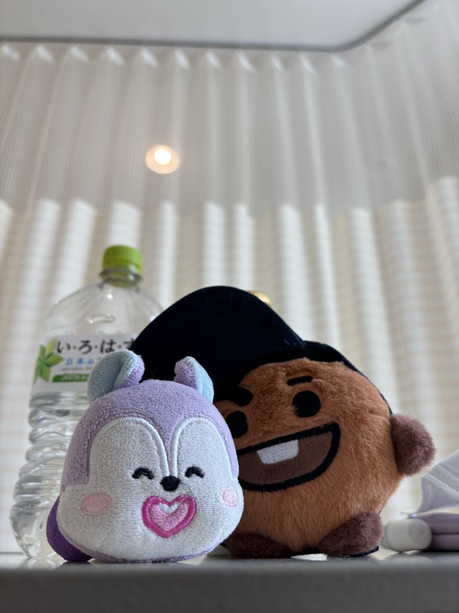 ErisDwarf7's tweet photo. ナースステーションでChimmy発見💡
私の🛏️でこの子達見て看護師さんらは笑っとるwww #SOPE https://t.co/QH91nTEIHi