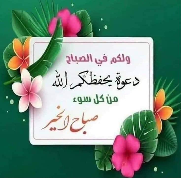 رحمه النبهاني tweet media