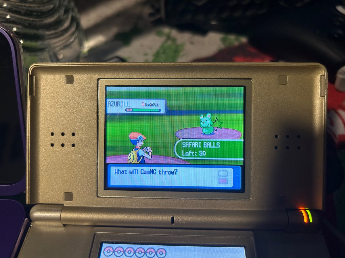 CamMC_SSB's tweet photo. Shiny 1% Azurill after 1,953 RE’s!

This is easily my rarest shiny I’ve ever found. It caught first ball, and I’ll been in utter disbelief since. I had no expectations for this #SafariWeek2026 yet this find alone makes it my best one yet. 

#shinypokemon https://t.co/78D3ln8087