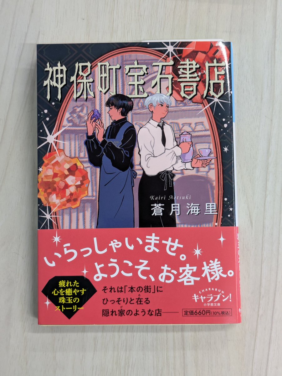 蒼月海里🐬8/6『タワーマンションの奇妙な居住録』発売予定