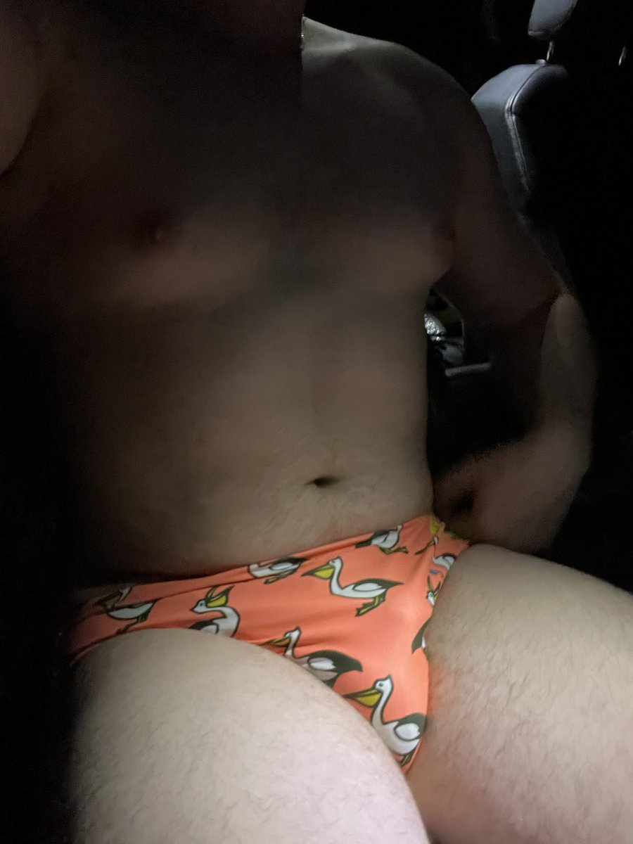smallppjack's tweet photo. maybe i should drive home from the gym like this every day 😈 post sauna sweat and gym musk all over 😮💨
#speedo #budgysmuggler #swimbrief #bulge #bulky #musk #gymbro #beefy https://t.co/CvqVWKvxWl
