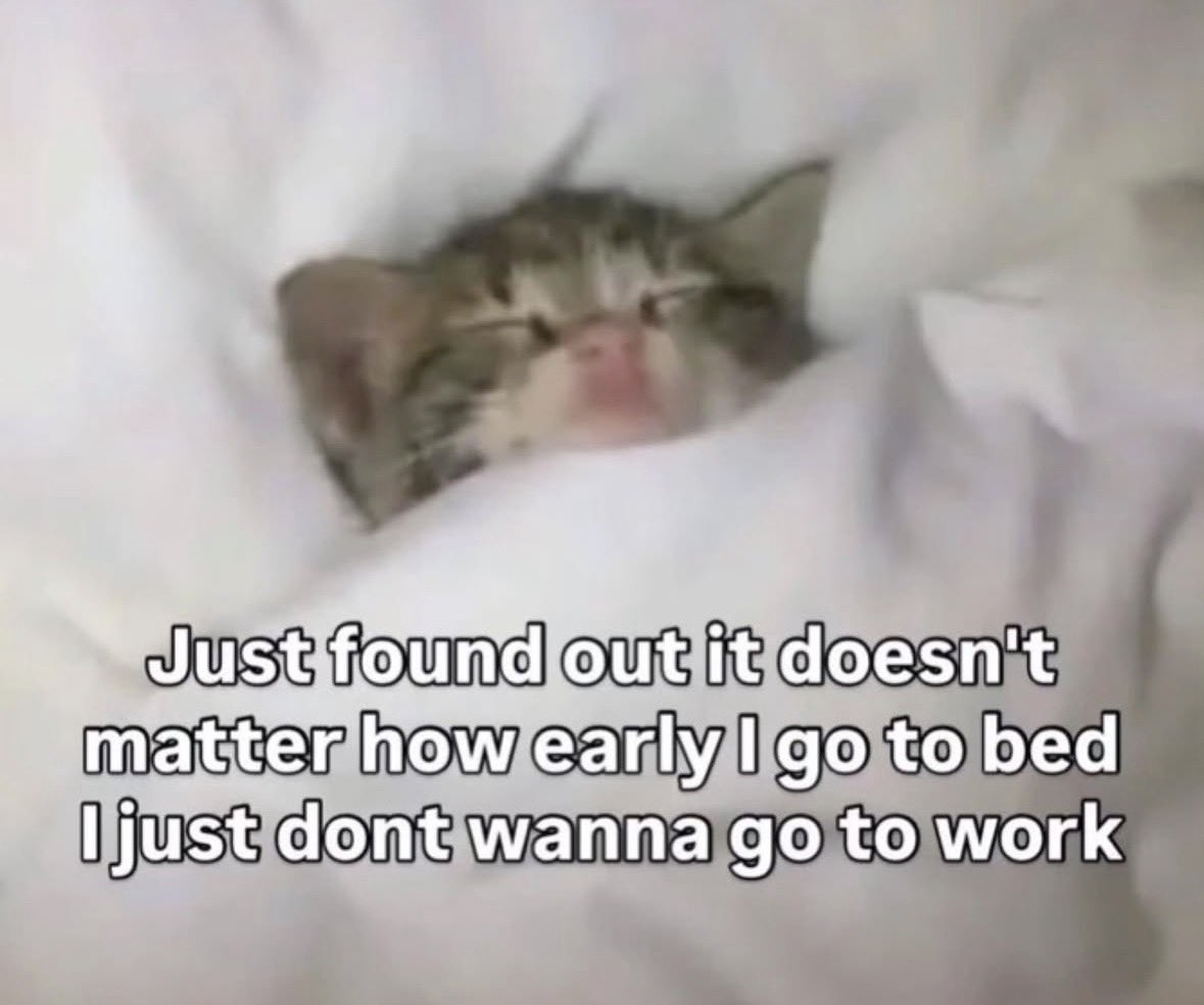 literallymecats's tweet photo. https://t.co/OlzNZdt3Qk