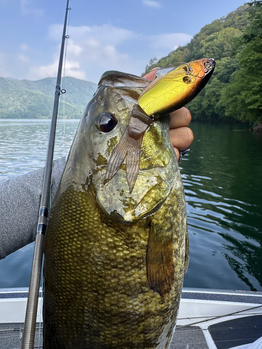 JACKALL BASS FISHING (@JACKALL_Inc) / Posts / X
