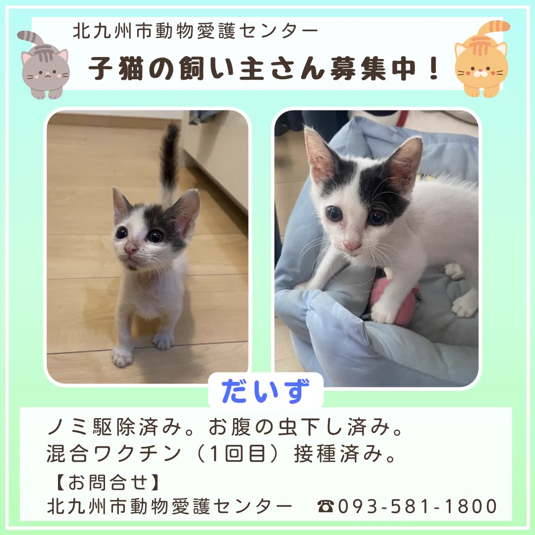 動物 愛護 センター 北九州
