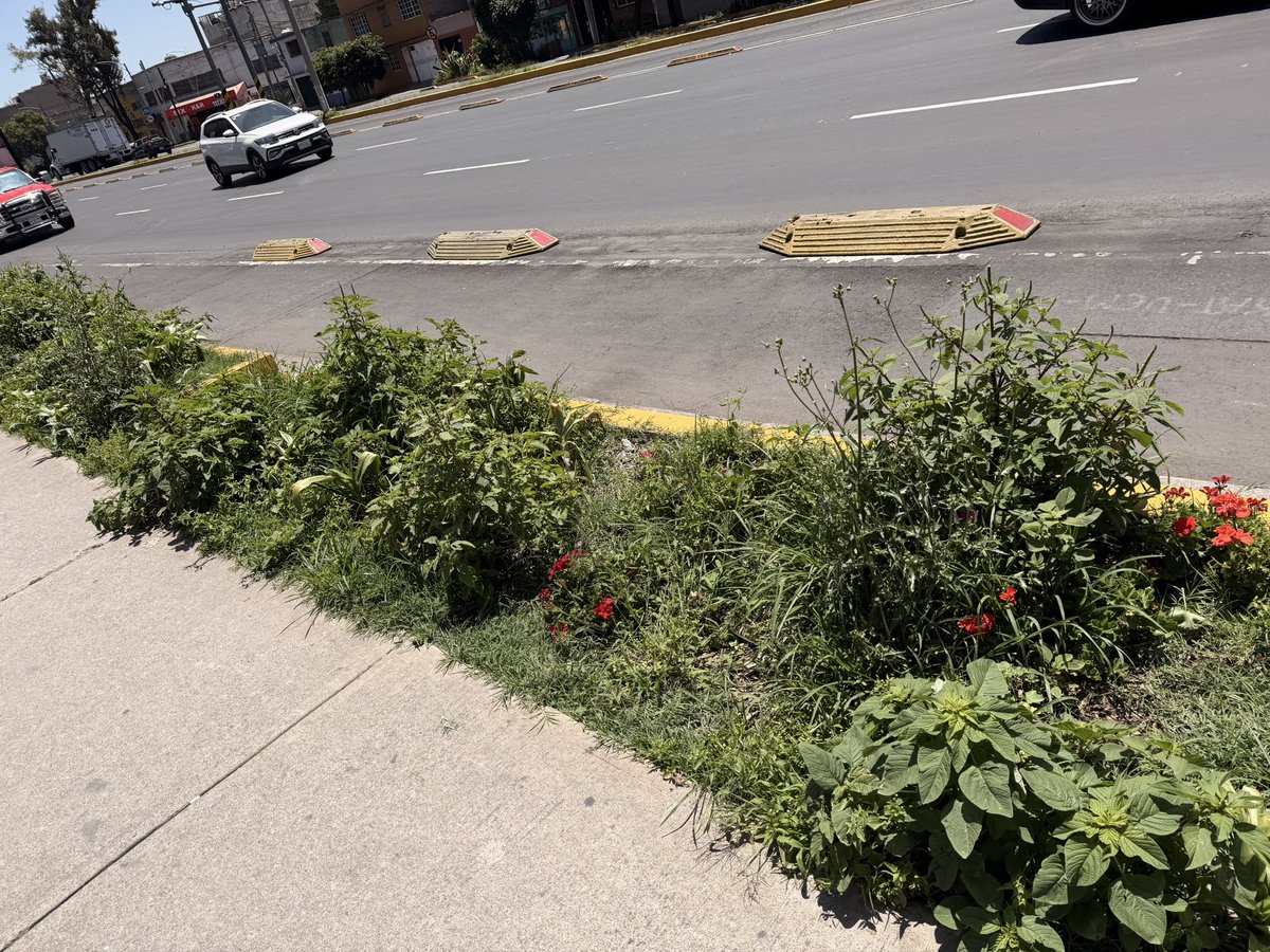 Robbie168's tweet photo. Recientemente narcolencha @ClaraBrugadaM malinauguró el otrora #DepvoEMolina como #Distopía, plantas nuevas y todo. Solo hay que mirar el mantenimiento q/se le da a todo. Su gestión, una simulación pero muy costosa, y #AvEMolina es un asco @ANTICORRUPCIO17 @GobCDMX @latinus_us https://t.co/XdDDJPVUs3