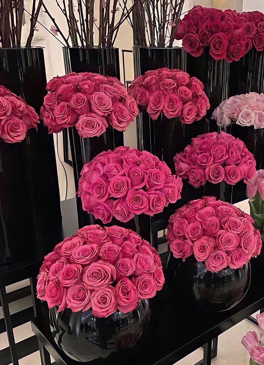 bloomifyyy's tweet photo. https://t.co/gxHYNAHtpJ