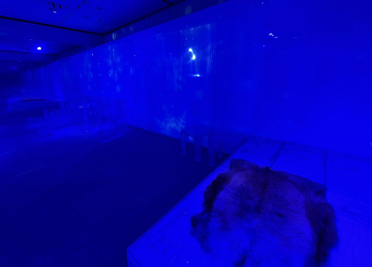crazy_fun_life's tweet photo. 伏見でやってる「オーロラと森のものがたり展」に行ってきた
北欧の文化とか紹介されてて癒される
写真下手すぎてよくわからんけど青い画像はスウェーデンのアイスホテルを再現したクリスタルアイスルーム https://t.co/43B3UEM4Qm