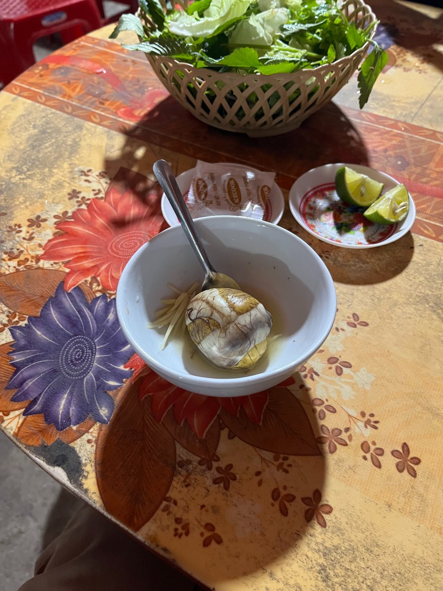 IMJapan_IMDOJ's tweet photo. 【ハノイ駐在員事務所より】
ベトナムのソウルフード「ホビロン」🇻🇳
孵化途中のアヒルの卵をゆでた料理で、塩コショウで食べたり麺に乗せたり🍜屋台や食堂の人気メニュー🍴
初めて食べた職員は「普通の卵に鶏肉が混ざったような味😋おいしかった」とのこと✨
現地に行ったら、これは外せない！ https://t.co/ajMphnwVud