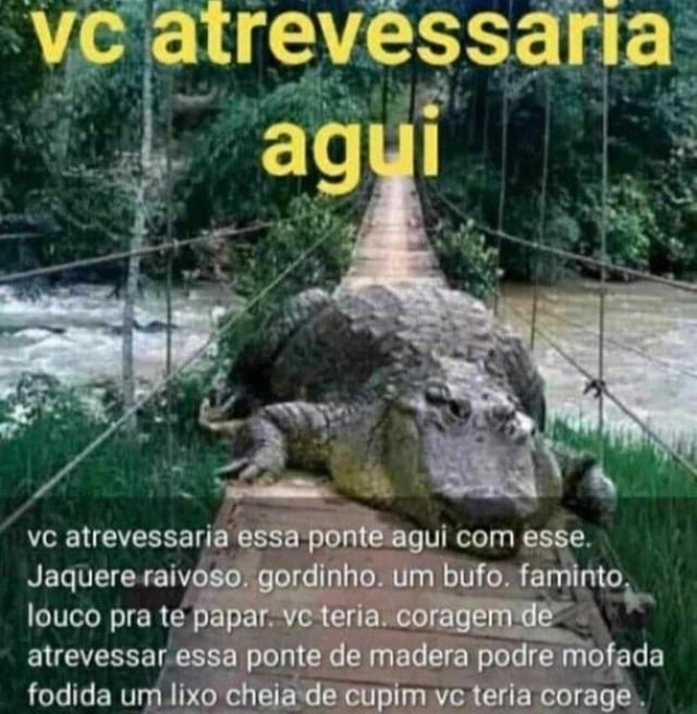 Keeike tweet media