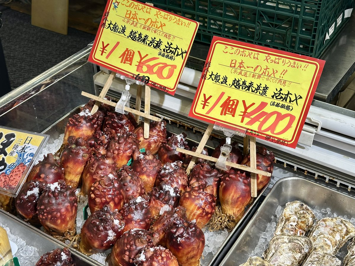morichi_com's tweet photo. 大船渡、越喜来浜の活ホヤ‼️
サイキシーにて販売中✨

#ホヤ
#サイキシー
#杜の市場 https://t.co/d8q5Nftzrq
