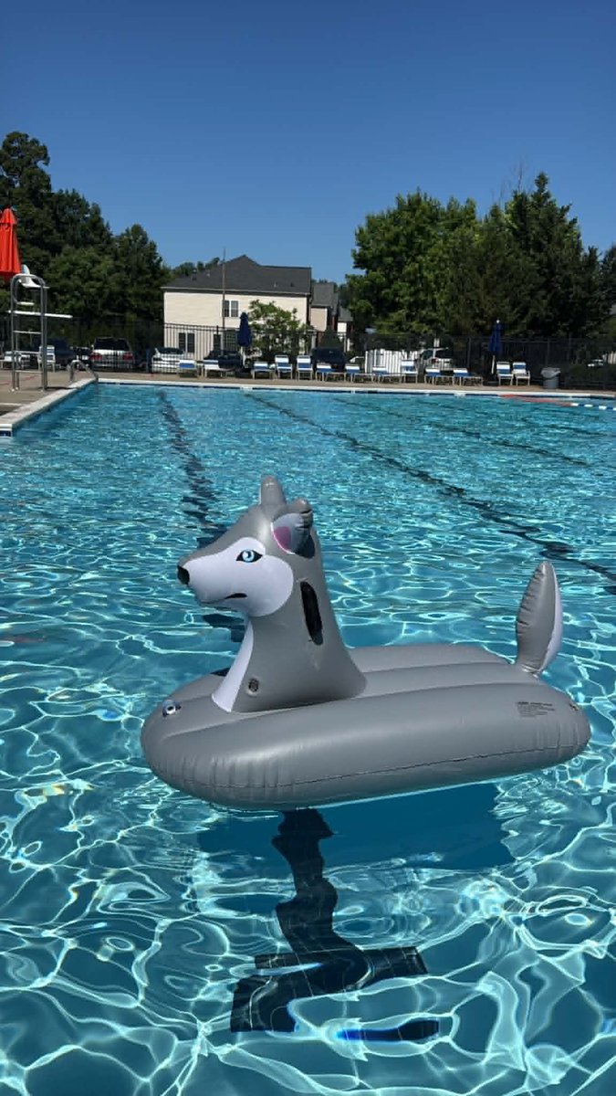 JetCreations's tweet photo. Sunshine, blue skies, and unicorn vibes. 

The perfect float for making every pool day a little more magical.

Who's ready to ride? 

#PoolFloat #Summer #PoolDay #Unicorn #Inflatable #FamilyFun #BackyardPool #SummerVibes #JetCreations #SqueakClub https://t.co/zDKmSE3QPo