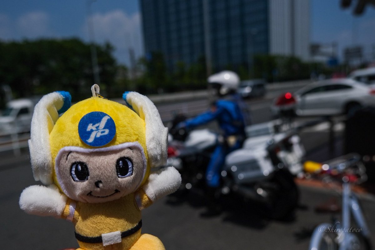Shiropatoco's tweet photo. https://t.co/xAjcIMATgT