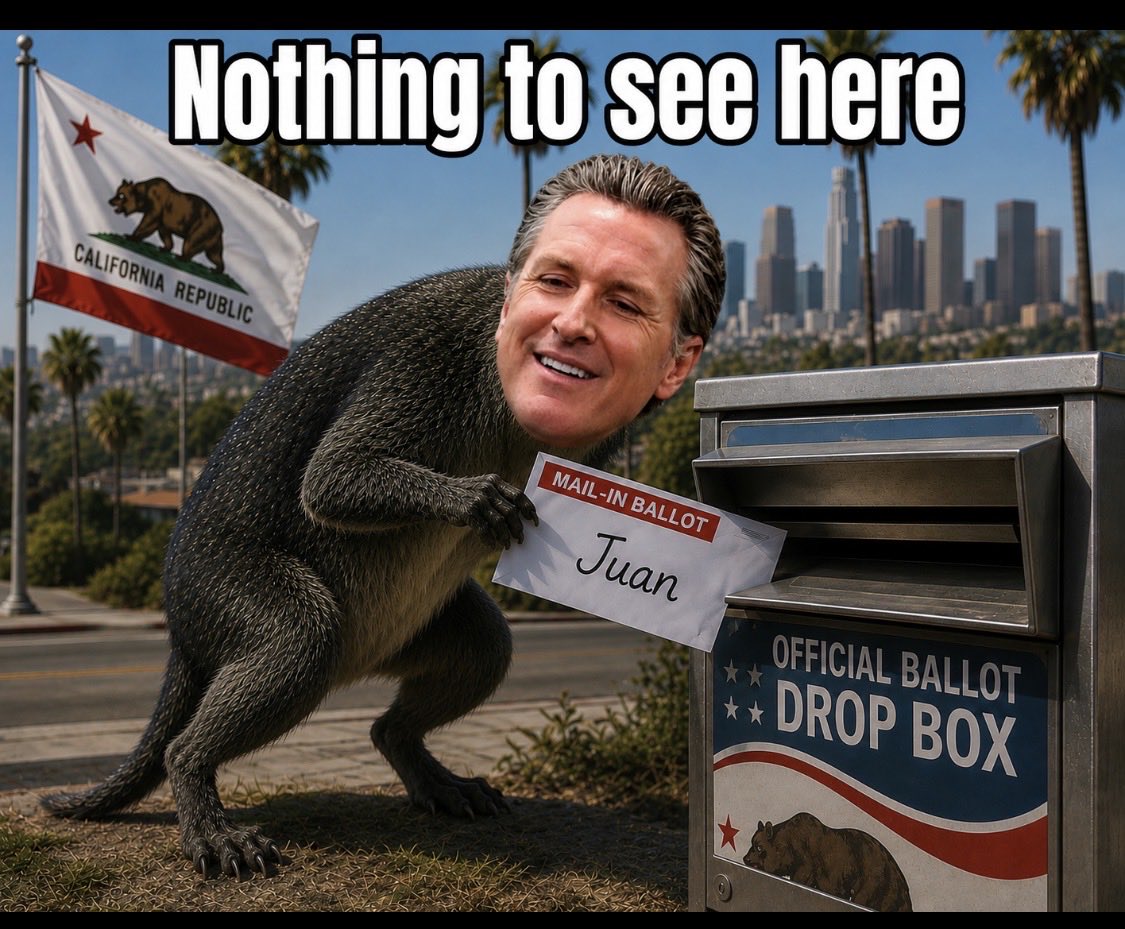 Porcupine tweet media