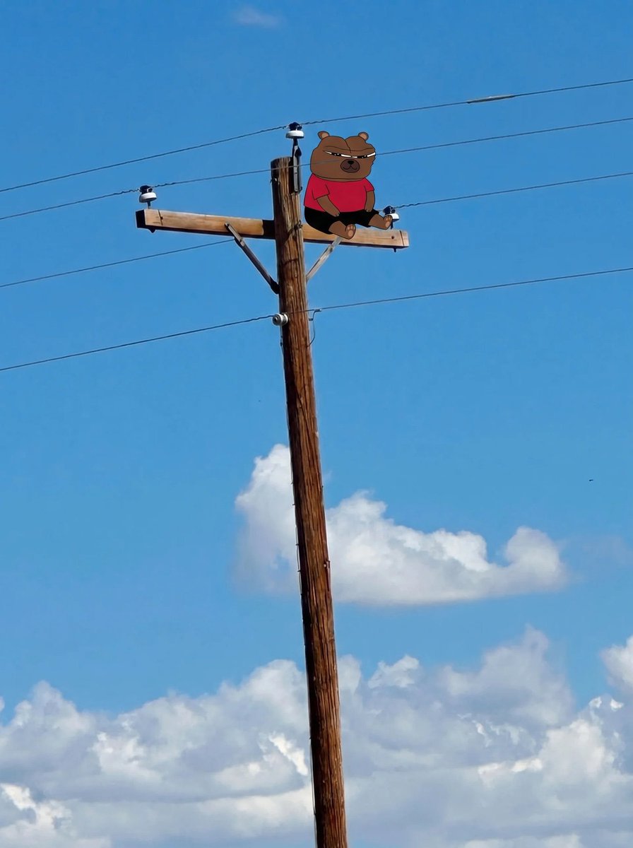 bobocouncil's tweet photo. Higher. $BOBO 🐻 https://t.co/u0U9uNuIlN
