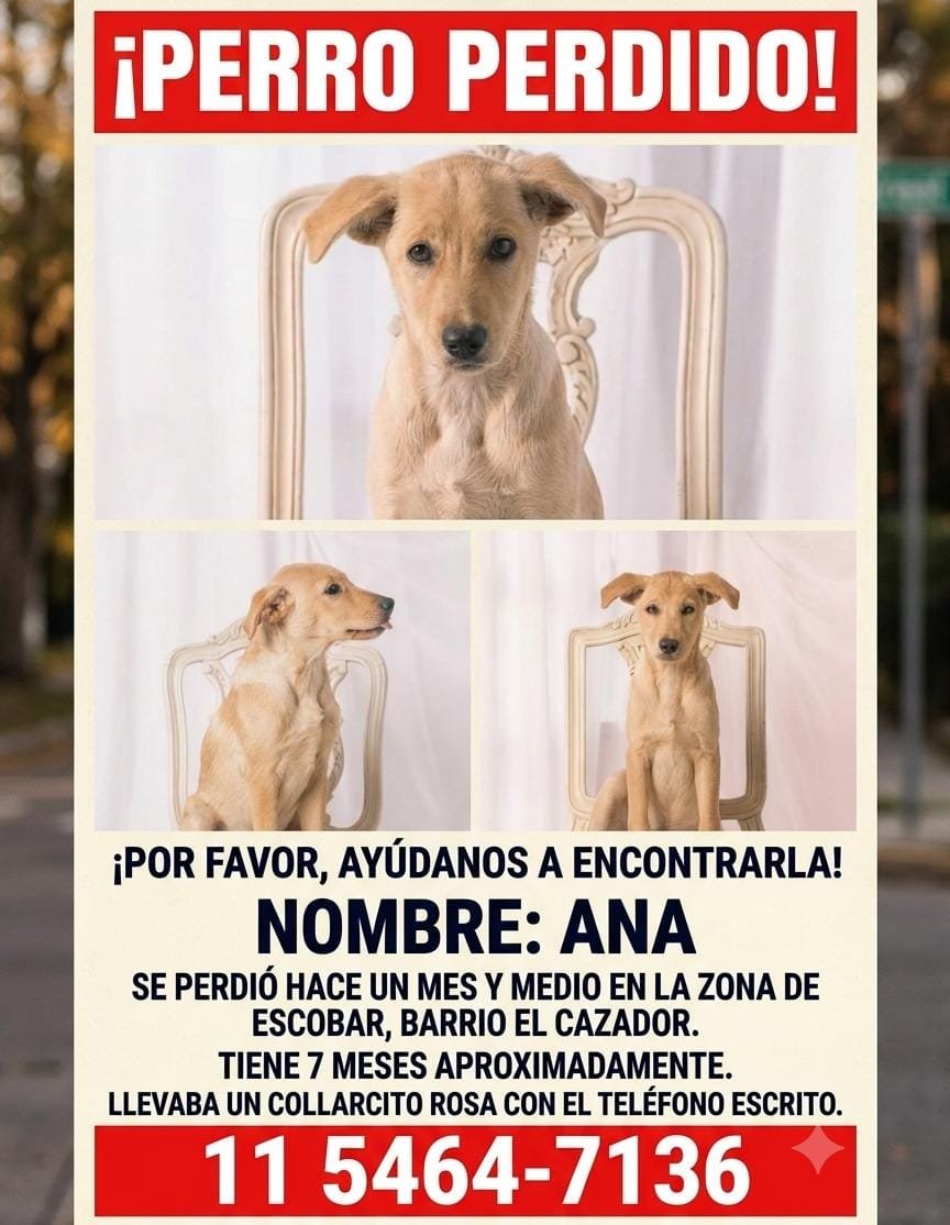 patripeyrou's tweet photo. Difundimos https://t.co/HKNcUfILRA