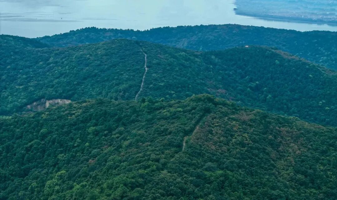 InnovativeBinhu's tweet photo. 4 cool hiking trails in 📍Binhu district, Wuxi, to beat the heat!

-- Baojie Mountain — Easy 5km paved, family-friendly, lake views.

-- Junzhang Ancient Trail — 20km, Wuxi's top ancient path, forest & lake views.

-- Guanzhang Ancient Trail — 2.5-7km, colorful steps, Lingshan Buddha & lake views.

-- Zhuangyuan Ancient Trail — 3/10km options, tea gardens & stone paths.

Go early, bring some water, check the weather. Tag your hiking buddy!