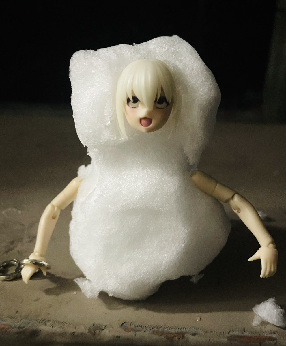 ookimeno_kani's tweet photo. #暑すぎるので雪の画像で涼もう見た人もやる https://t.co/Fu6WXJK2RE