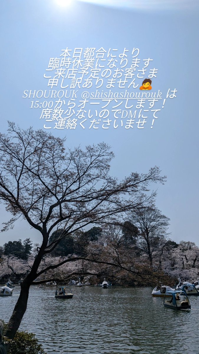 shishapond's tweet photo. https://t.co/H59BTwBvVl