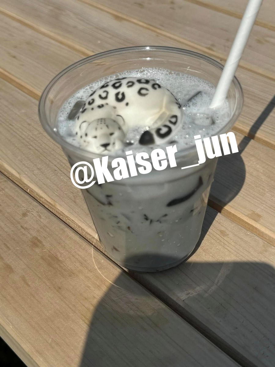 Kaiser_jun's tweet photo. 美容学生と多摩動物園デート🦁。ライオンも迫力あったけど、ユキヒョウ初めて見た！ 美しくて、格好いい。他の猛獣とは、なんか違った魅力があるな。動物園って、今まであまり面白いイメージ無かったけど、ここは超楽しかった！ またユキヒョウ見に行きたい 🐆 ❄️ https://t.co/lulOtlwirZ