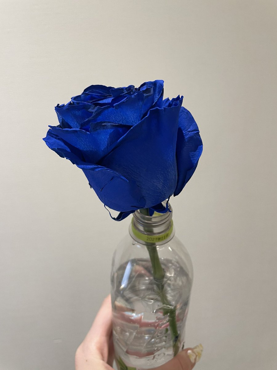 yu_kt_sty's tweet photo. 無事札幌のお花屋さんに預けることに成功🥹🥹皆様ご助言ありがとうございました🥹🥹 https://t.co/e7anVCnrSz