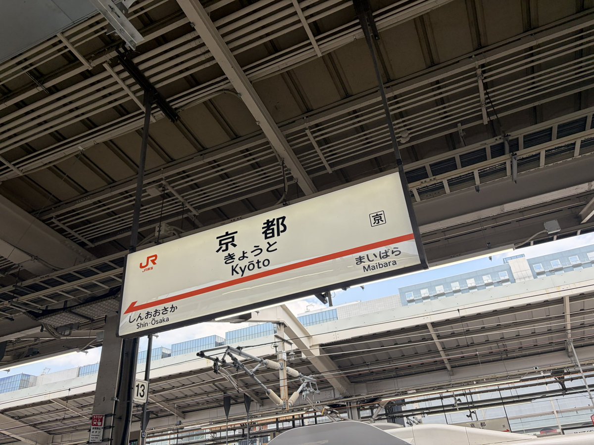 mini32_mikan's tweet photo. 学会のために京都に来ました🚄
仕事じゃなかったら京都とか大阪のフィールドに鉄砲打ちに行くのにな😂残念😥 https://t.co/jqDxEPBvJV