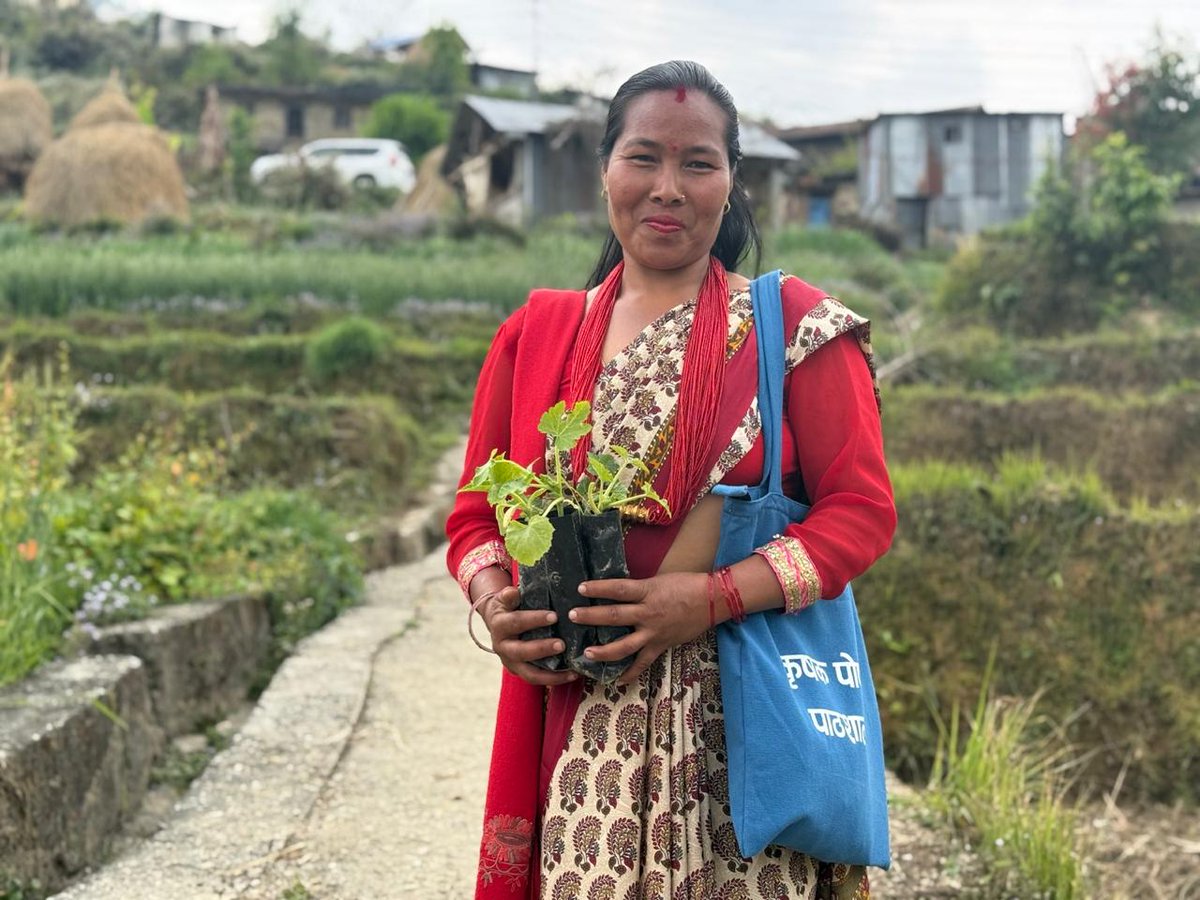 WFP_Nepal's tweet photo. Farmer Nutrition Schools (FNS) empower smallholder farmers to grow both seasonal &amp; off-seasonal vegetables - boosting family nutrition &amp; strengthening incomes through local markets. 💪🥦

Through FNS, @WFP_Nepal is helping farmers learn climate- sensitive farming practices. https://t.co/m730bcOSUl