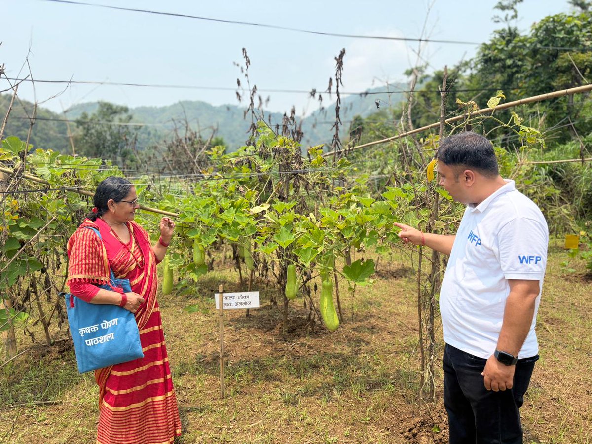 WFP_Nepal's tweet photo. Farmer Nutrition Schools (FNS) empower smallholder farmers to grow both seasonal &amp; off-seasonal vegetables - boosting family nutrition &amp; strengthening incomes through local markets. 💪🥦

Through FNS, @WFP_Nepal is helping farmers learn climate- sensitive farming practices. https://t.co/m730bcOSUl
