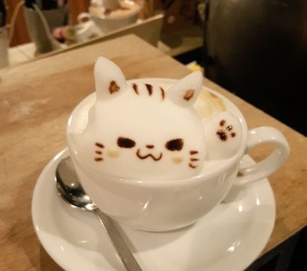 everthepious's tweet photo. I like when I get to make cute drinks for people rather than basic ones. People rarely ask. If you’re ever on Beach Street stop by. https://t.co/pTZW8V0nc9