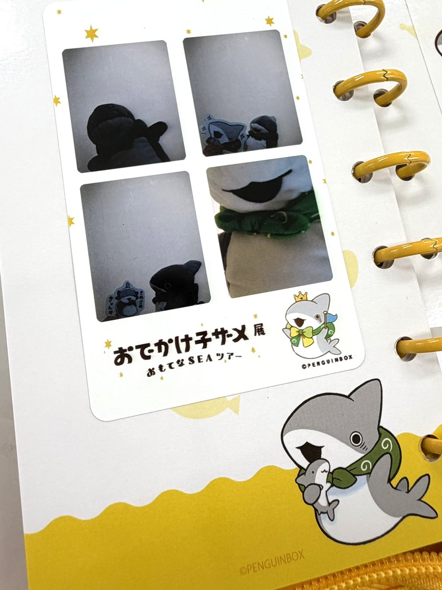 お出かけ子ザメちゃん🦈Love (@odekake__kozame) / Posts / X