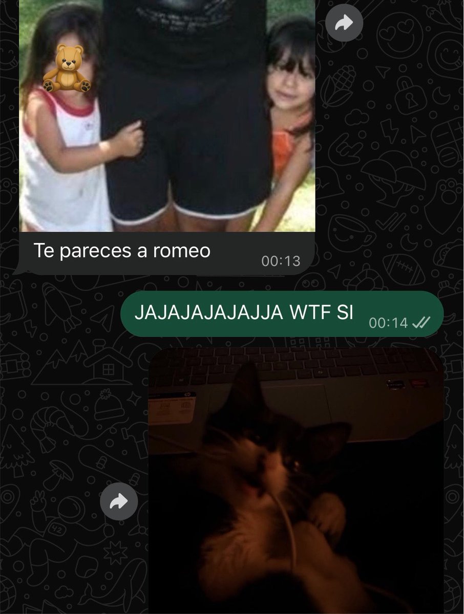 julieta tweet media