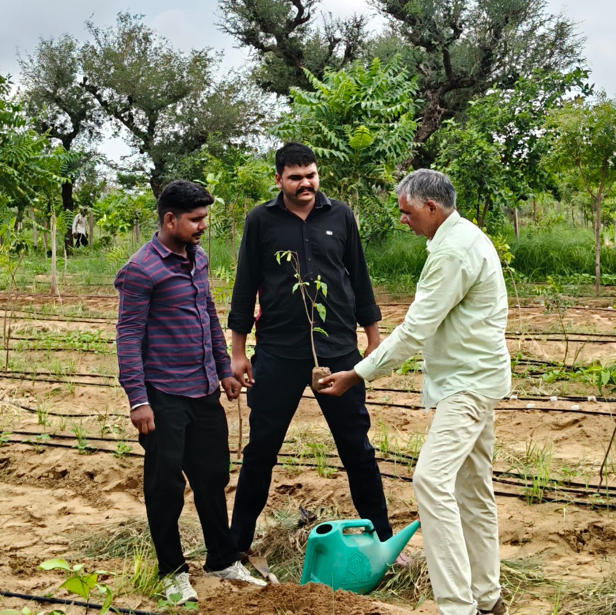 AwanaSurendra's tweet photo. #s_awana_plantation https://t.co/x63ztClLin