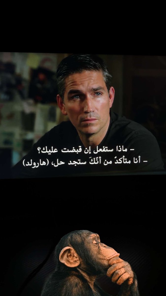 Saud ⭐️⭐️ tweet media