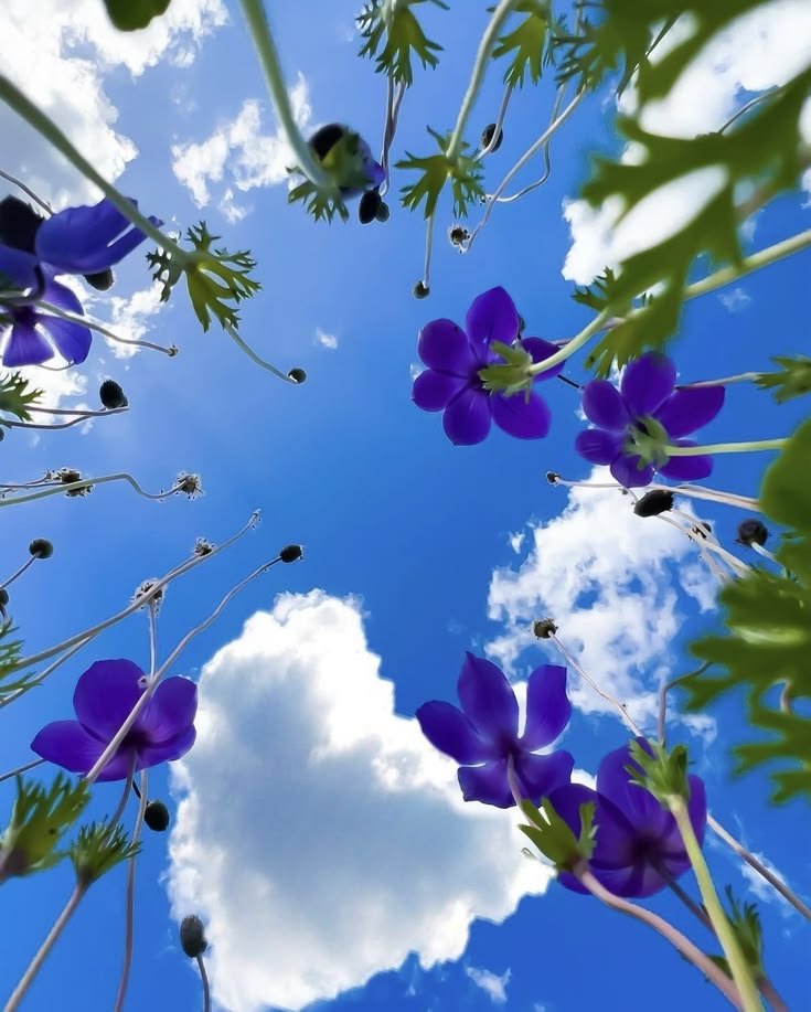 tinyescapesX's tweet photo. Sky https://t.co/vBN16B41pW