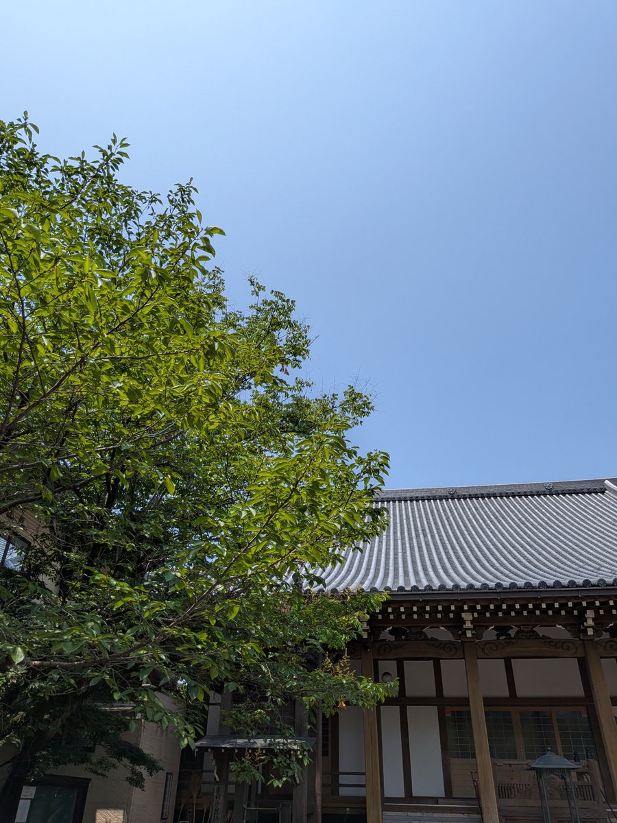 oriori253's tweet photo. 弟よ、今年も暑いぜ
命日が大暑の日だからしょうがないね
今日はお寺だけ
墓参りは明日行くから https://t.co/OVi0yUZ8PC