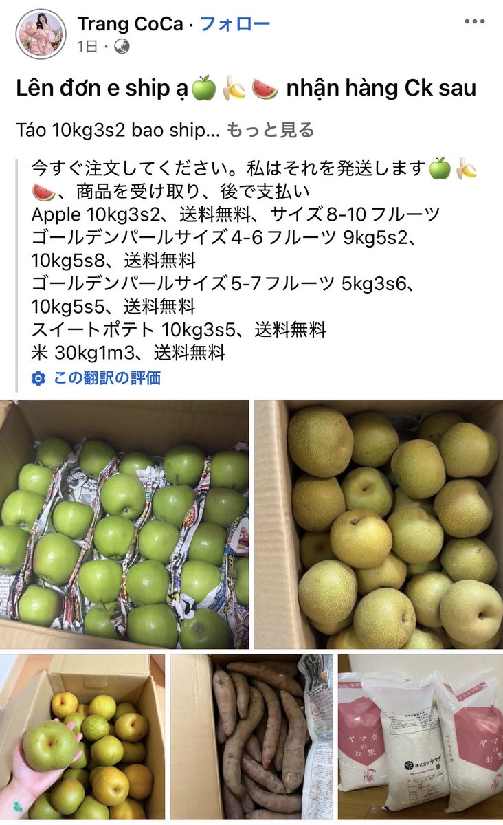 lico337's tweet photo. 【速報】
ベトナム人が急に、梨、りんご、桃の大量即売祭りをFacebookで始める！🇻🇳

中には、まだ青くて熟す前の、売り物レベルではない果物まで大量にもがれて、販売されていることが明らかに！
Facebook上の住所はベトナム。
盗難…？ https://t.co/KerpBKDBYc