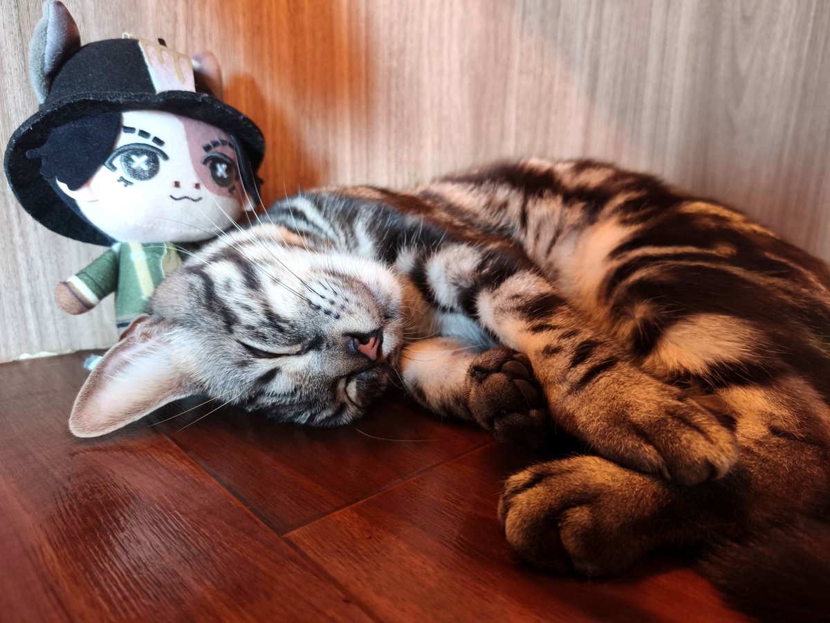 riyo5287's tweet photo. クソかわファンサ https://t.co/GXiogX5k3h