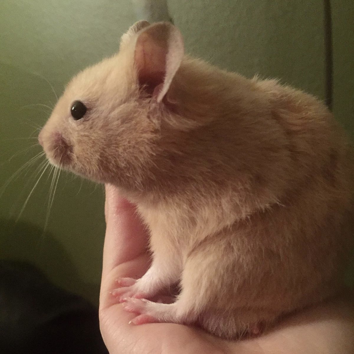 haechantimbit's tweet photo. https://t.co/IZHIwaOTtX