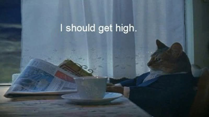 SJsMemes420's tweet photo. https://t.co/iyQDTrqDhz