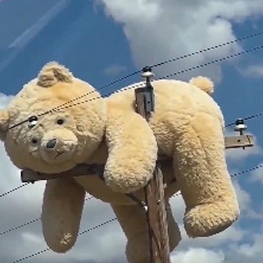 DefiSparco's tweet photo. 🧸 Stuff Bear On Pole ($SBOP)

Every great meme starts with a simple idea, but only strong communities turn it into something unforgettable. 🚀

$SBOP is building momentum with a growing community and strong energy. If you're looking for a fresh project to keep on your radar, now is a great time to check it out.

𝕏: @Scrubs_lua

CA:
DoVQXZYjUnTpwBrQ7rExTahEW7X34cW2Sfs5FmuXpump

Pump:
https://t.co/J70AW3x4nu

Always do your own research and follow the journey. 💎