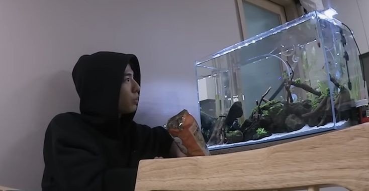 ilhamschonfeld's tweet photo. My daily routine is including staring at my fishes and just do nothing. #therapeutic #musttry https://t.co/c2fBlrFVw2