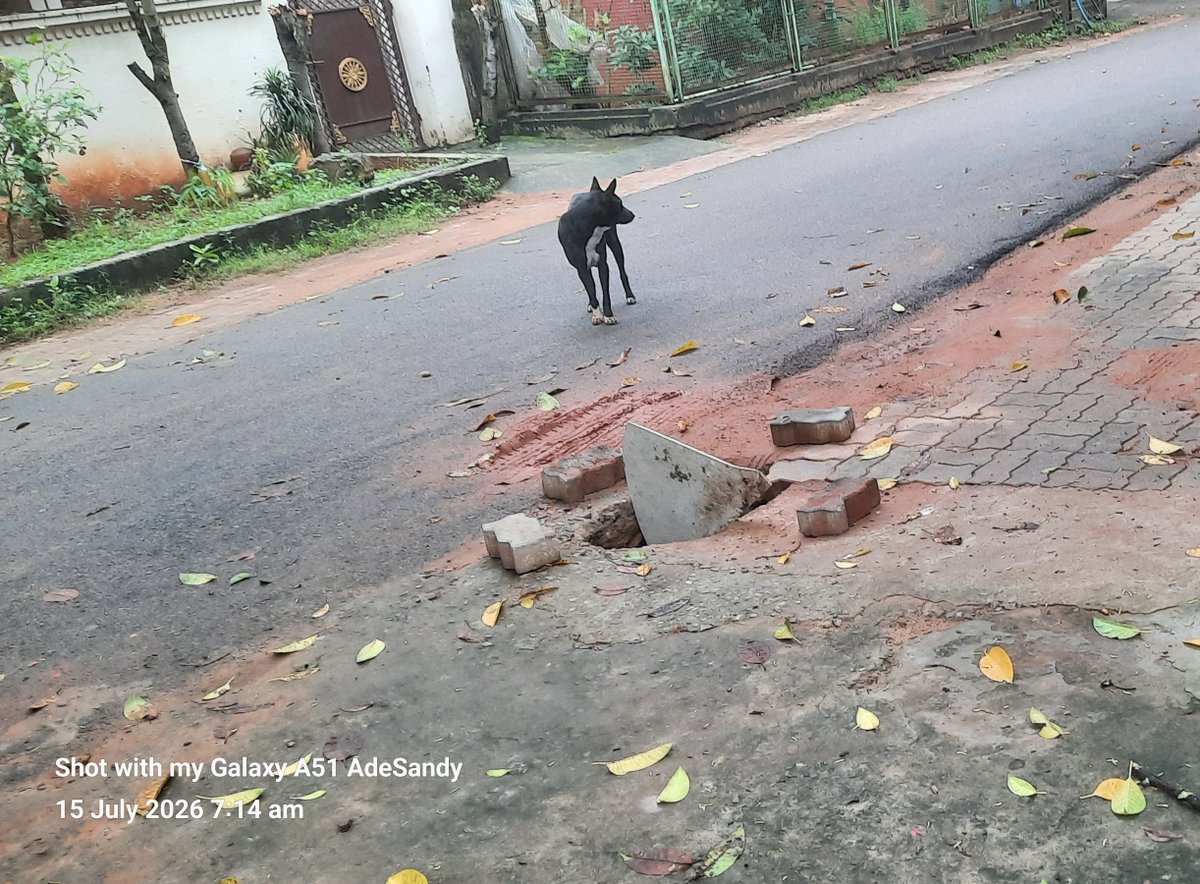SandeepJena0's tweet photo. @gailindia is this how your ppl/company do the work, so that the citizen will meet with accident curse their fate they can't reach you....these are few spots after the PNG laid and the soil filled places in VIP colony of IRC area in Bhubaneswar... https://t.co/m9zwxgczHe