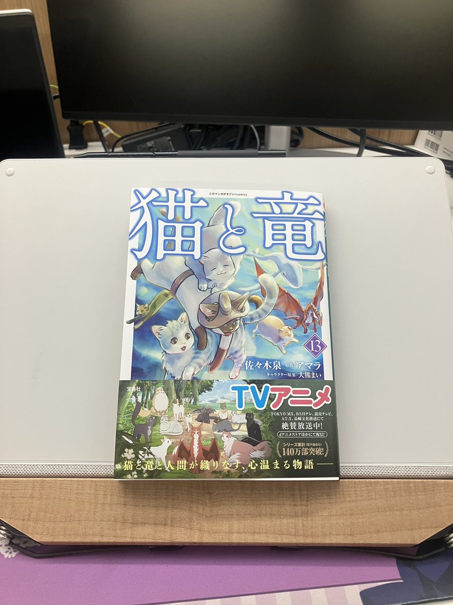 コミックス13巻