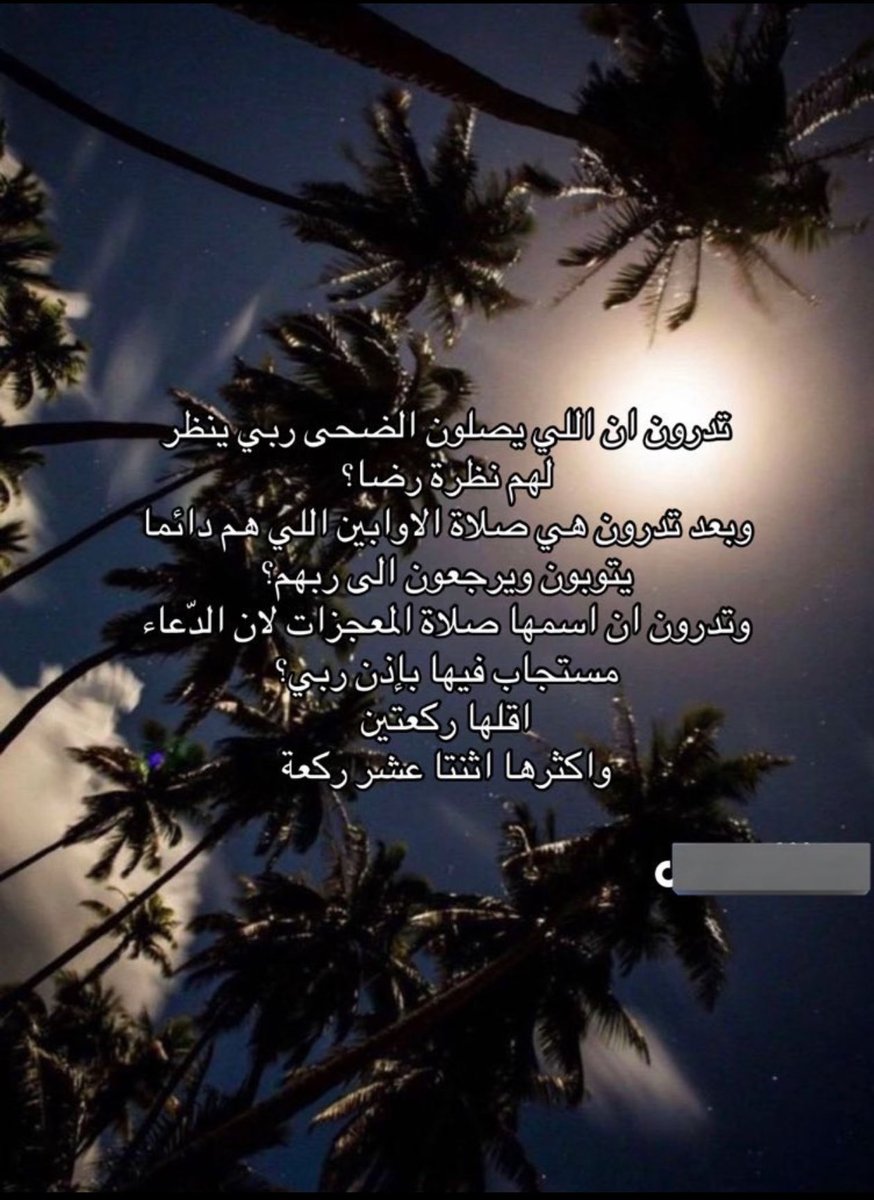 MeeMo537077's tweet photo. صلاة الضحى جزاكم الله خيراً 🦋🌻

 #اعز_الرجال_وانقاهم https://t.co/TDtoBr4nm3
