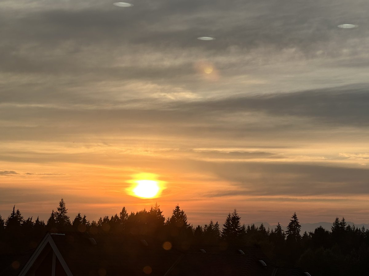 CharleneGroome's tweet photo. I just noticed that I had around 15 replies I thought I sent that went into my drafts. From birthday wishes, to acknowledging peopleโs accomplishments. I apologize if you replied to one of my posts and I didnโt respond. Has this happened to you?
#5amwritersclub
#writingcomunity https://t.co/I5VajzQTlZ