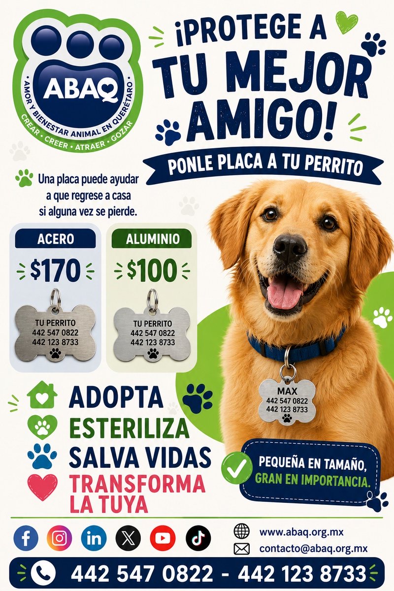 ABAQQueretaroBA's tweet photo. 💙 Tu compra tiene un doble impacto: cuidas a tu mascota y apoyas nuestra misión de salvar más vidas.
¡Haz que cada placa cuente!
#ABAQ #PlacasDeIdentificación #Adopta #Esteriliza https://t.co/SywL198x8b